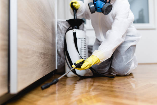 Best Pest Prevention Services  in Lake Vla, IL