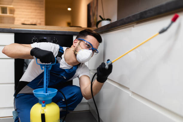Pest Prevention Services in Lake Villa, IL