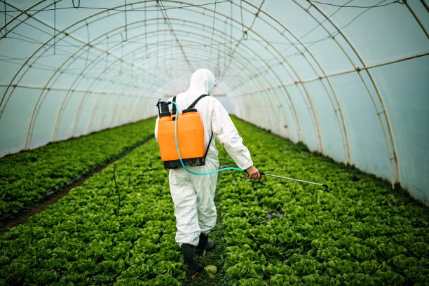 Best Pest Control Cost  in Lake Vla, IL