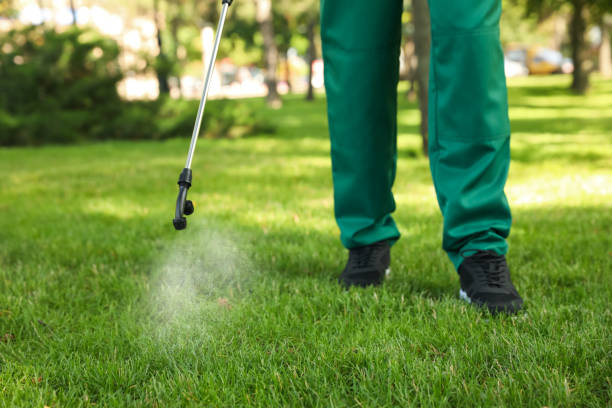 Best Ant Control Services  in Lake Vla, IL