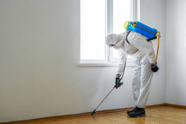 Best Bed Bug Extermination  in Lake Vla, IL