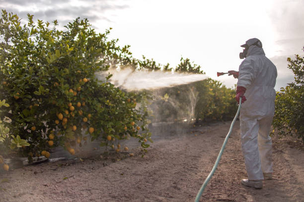 Best Affordable Pest Control Services  in Lake Vla, IL