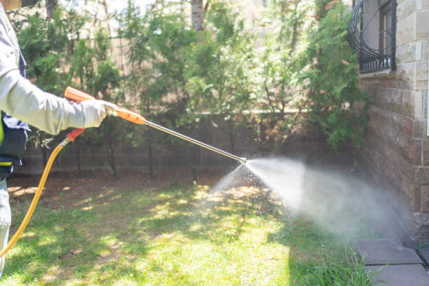 Best Affordable Pest Control Services  in Lake Vla, IL