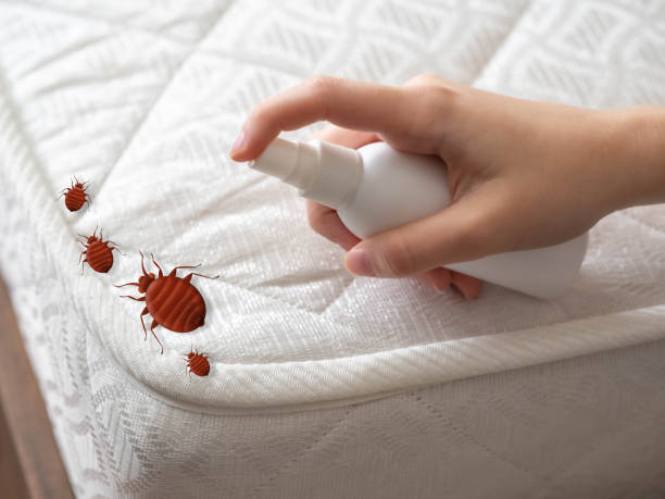 Reliable Lake Villa, IL Pest Control Solutions